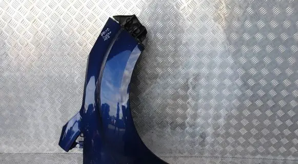 Ford Grand C-MAX Fender