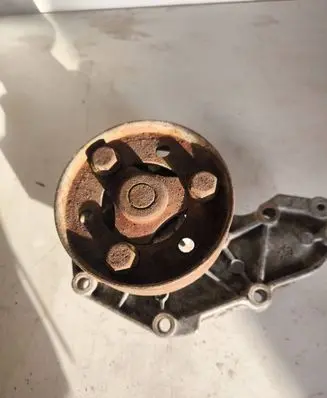 Renault Scenic I Water pump