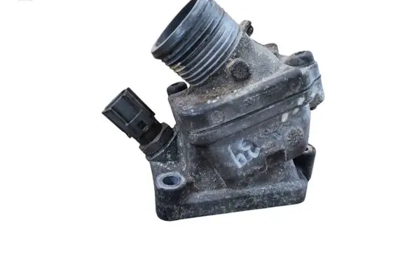 Thermostat/thermostat housing