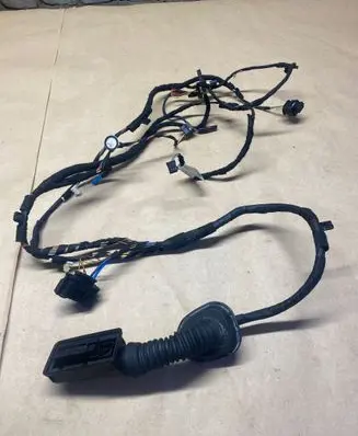 Front door wiring loom