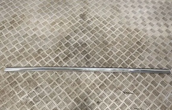 Chrysler Pacifica Rear door trim (molding)