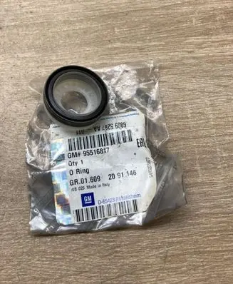 Opel Combo D Other engine part 95516817 GMOringseal
