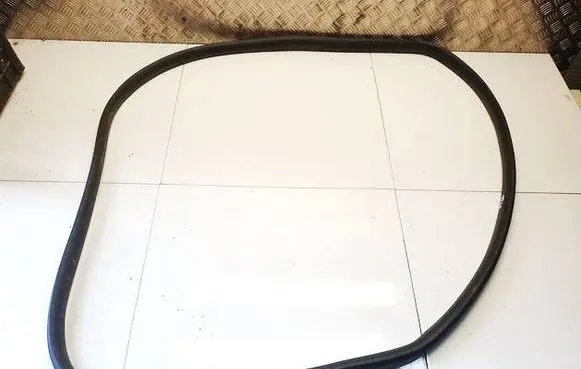 Tesla Model Y Rubber seal front coupe door 