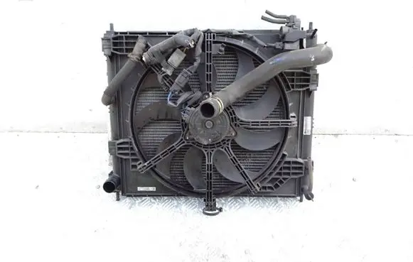 Nissan Juke I F15 Coolant radiator 21410BA62A