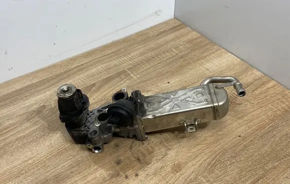 Volkswagen Polo V 6R EGR valve 03P131512C 0280751016