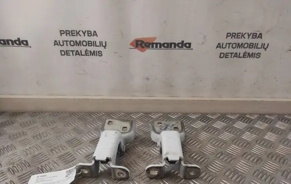 Renault Trafic III (X82) Front door hinges set 804005400R 93450652