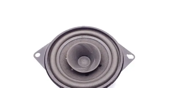 Renault Trafic II (X83) Headliner speaker 
