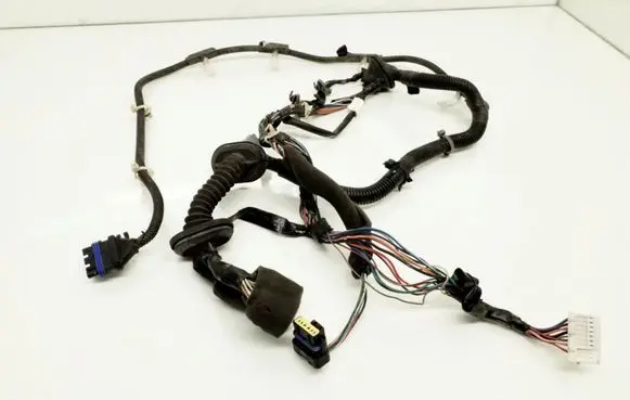 Front door wiring loom