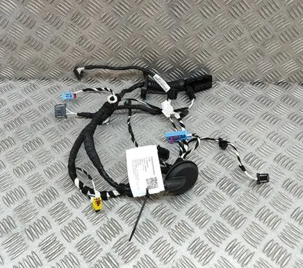 Volkswagen Tiguan Front door wiring loom 5NC971161EG