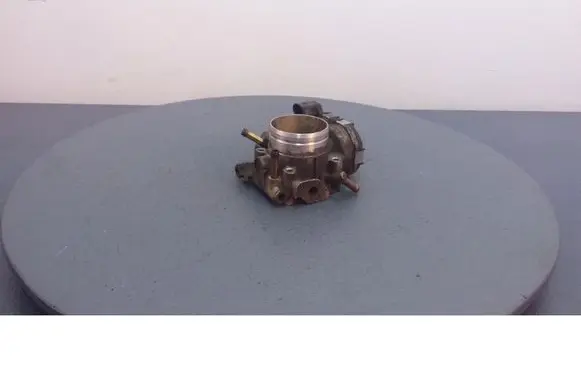 Throttle body valve