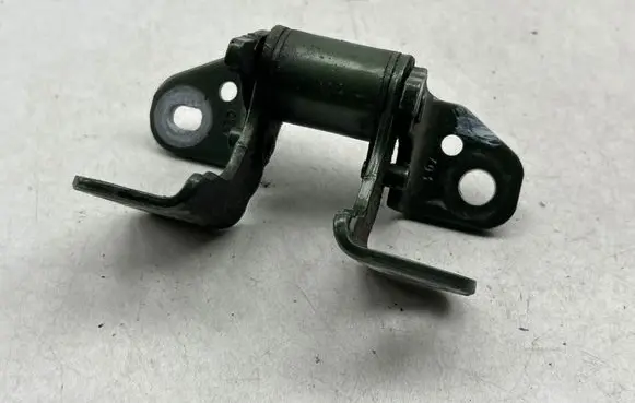Rear door lower hinge