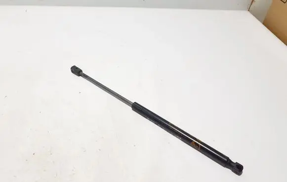 Ford Mach-E I Front bonnet/hood damper/strut LJ8BR16C827AB