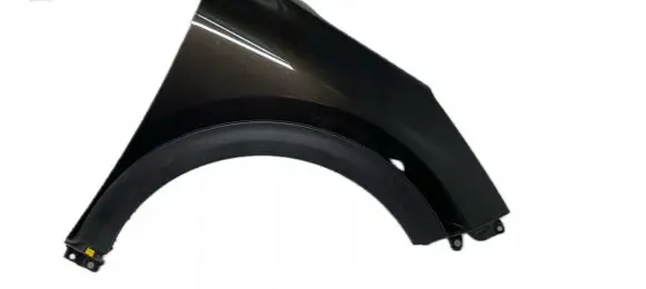 KIA Niro Fender trim (molding) 66321G5000
