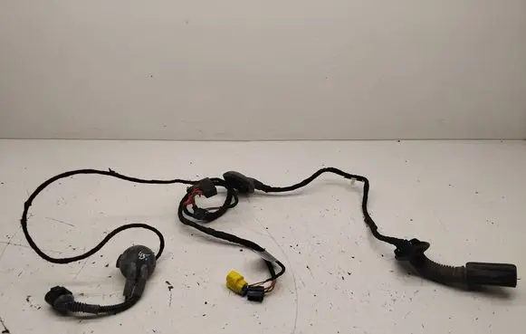 Front door wiring loom