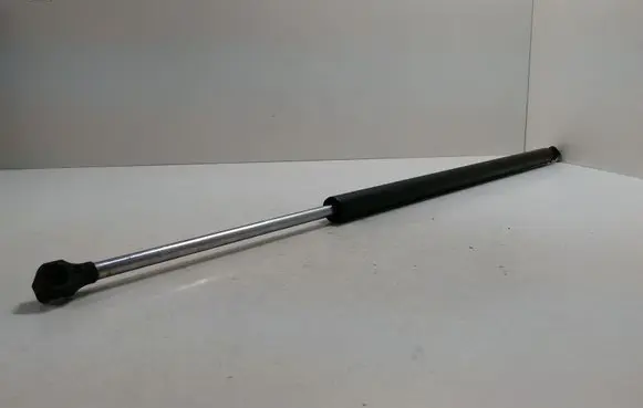 Tailgate/trunk strut/damper