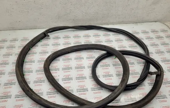 Seat Exeo (3R) Rubber seal rear door 