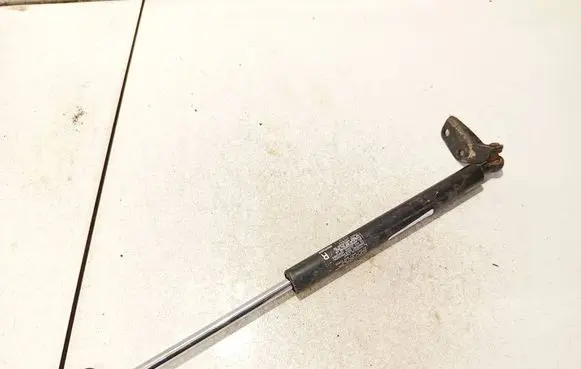 Tailgate/trunk strut/damper