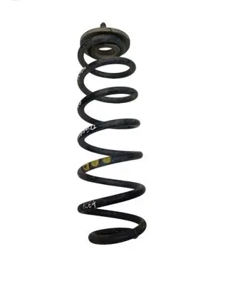 Rear coil spring