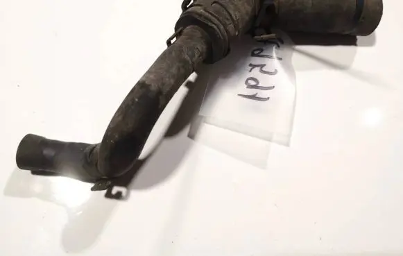 Volkswagen PASSAT B5.5 Engine coolant pipe/hose