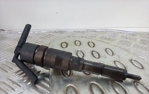 Citroen Xsara Picasso Fuel injector 0445110076 9641742880