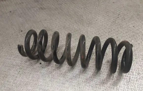 Rear coil spring