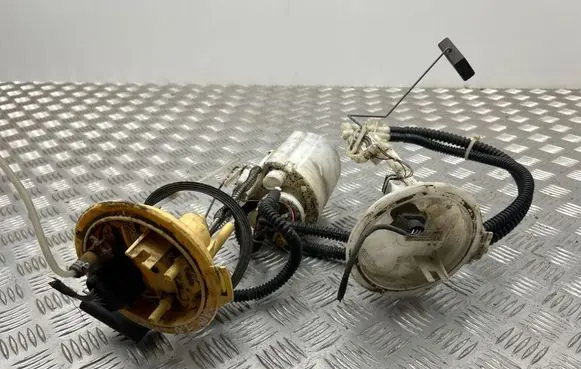 Volkswagen Caddy In-tank fuel pump 2K0919673D 502990901041