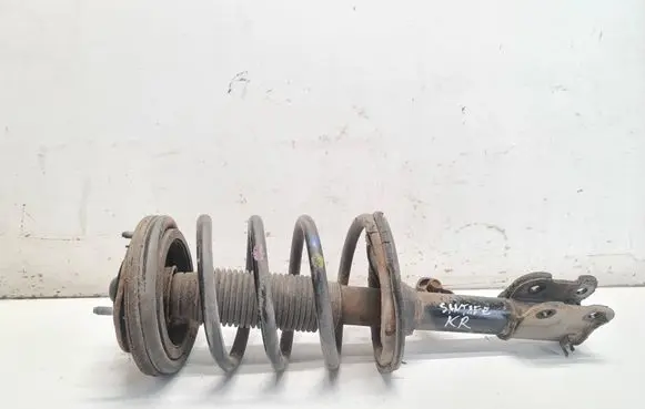 Hyundai Santa Fe Front shock absorber with coil spring 546392B100