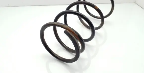 Front coil spring