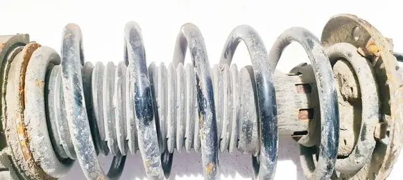 Skoda Roomster (5J) Front coil spring 