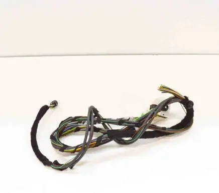 Other wiring loom