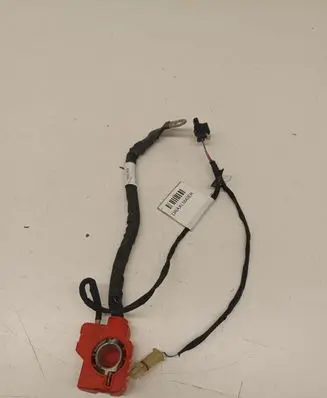 Mercedes-Benz EQC Positive cable (battery) 841C118101