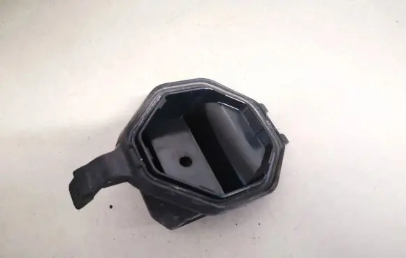 Volkswagen PASSAT B4 Headlight/headlamp dust cover 14199500 141995-00