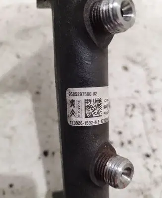 Citroen Berlingo Fuel main line pipe 9685297580 55PP3401