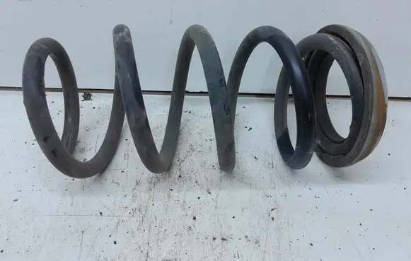 Rear coil spring
