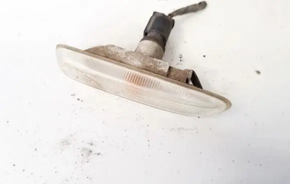 Front fender indicator light