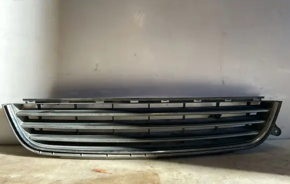 Front bumper lower grill
