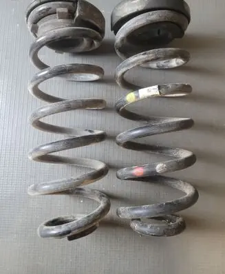 Rear coil spring