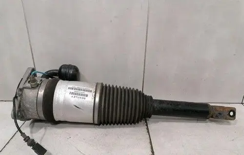Bentley Flying Spur Rear shock absorber with coil spring 3W5616002D