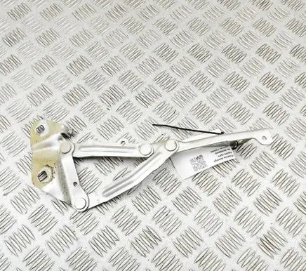 Ford Transit VII Engine bonnet/hood hinges BK2116800BB