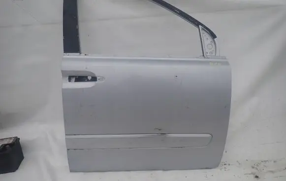 KIA Carnival Front door