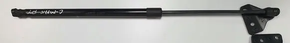 Ford C-MAX I Tailgate strut 10650756