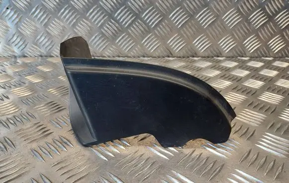 Rear/tail light trim molding