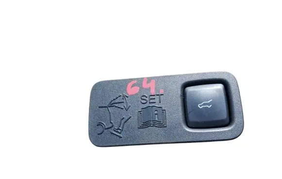 Ford Mustang Mach-E Tailgate/boot open switch button LJ8BR40726CB