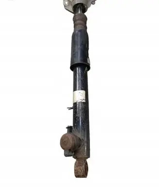 Rear shock absorber/damper