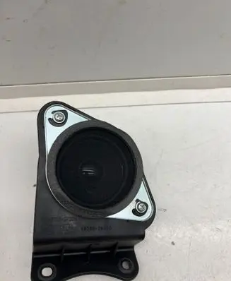 Hyundai Santa Fe Front door speaker 963902W000