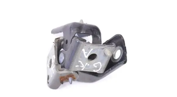Rear door lower hinge