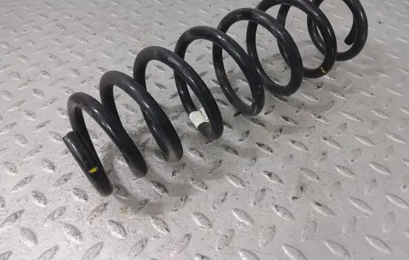 Rear coil spring