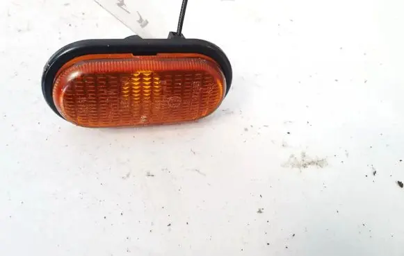 Front fender indicator light