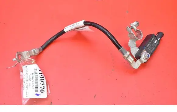 BMW X7 G07 Other wiring loom A00107529