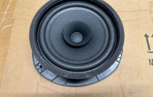 Rear door speaker